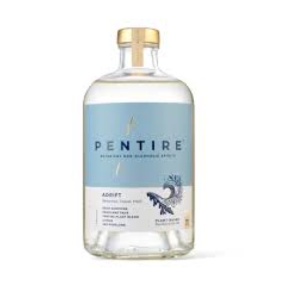 Picture of Pentire Adrift
