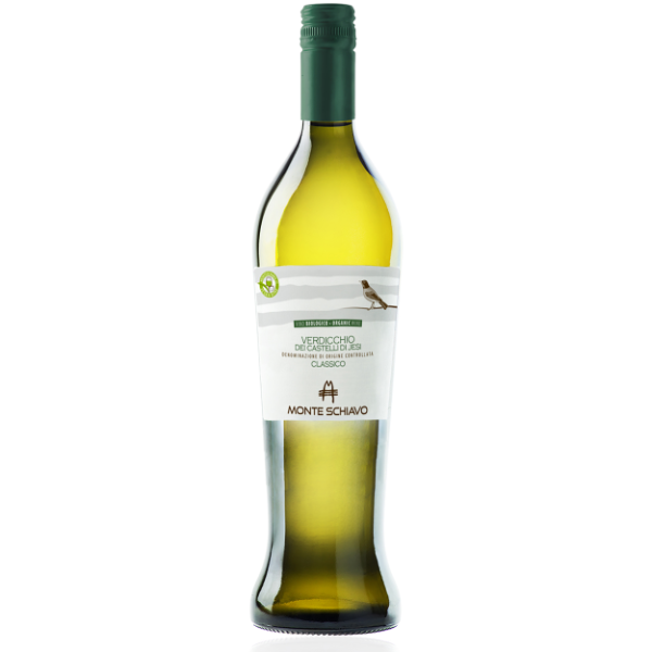 Picture of Verdicchio Amphora Ruviano