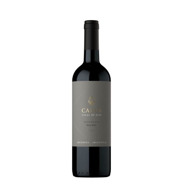 Picture of Cadus Tupungato Malbec